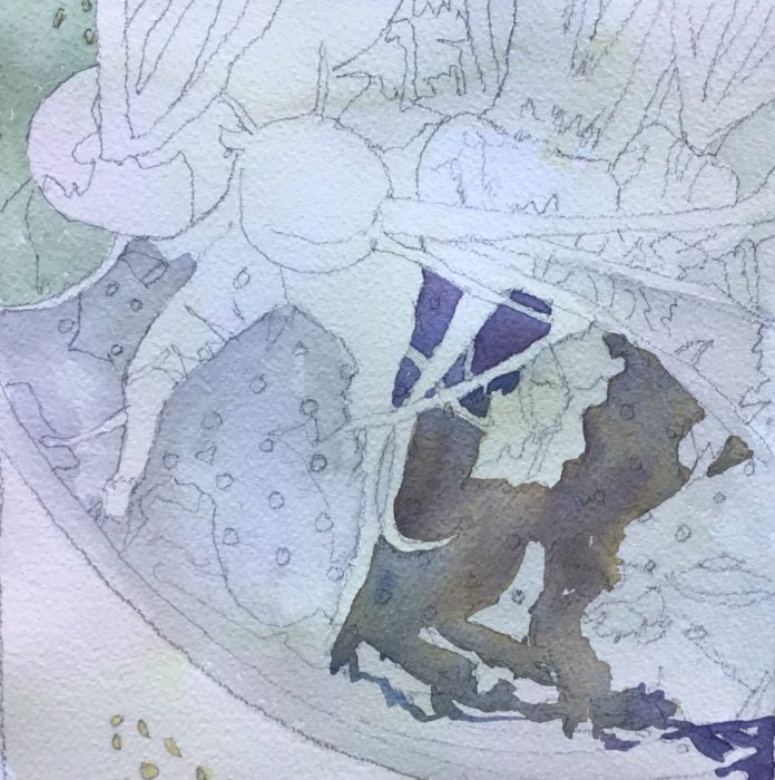 Dare to Look Deeper Into the Shadows - American Watercolor
