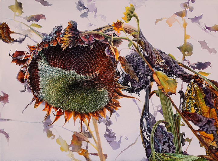 painting of sunflower