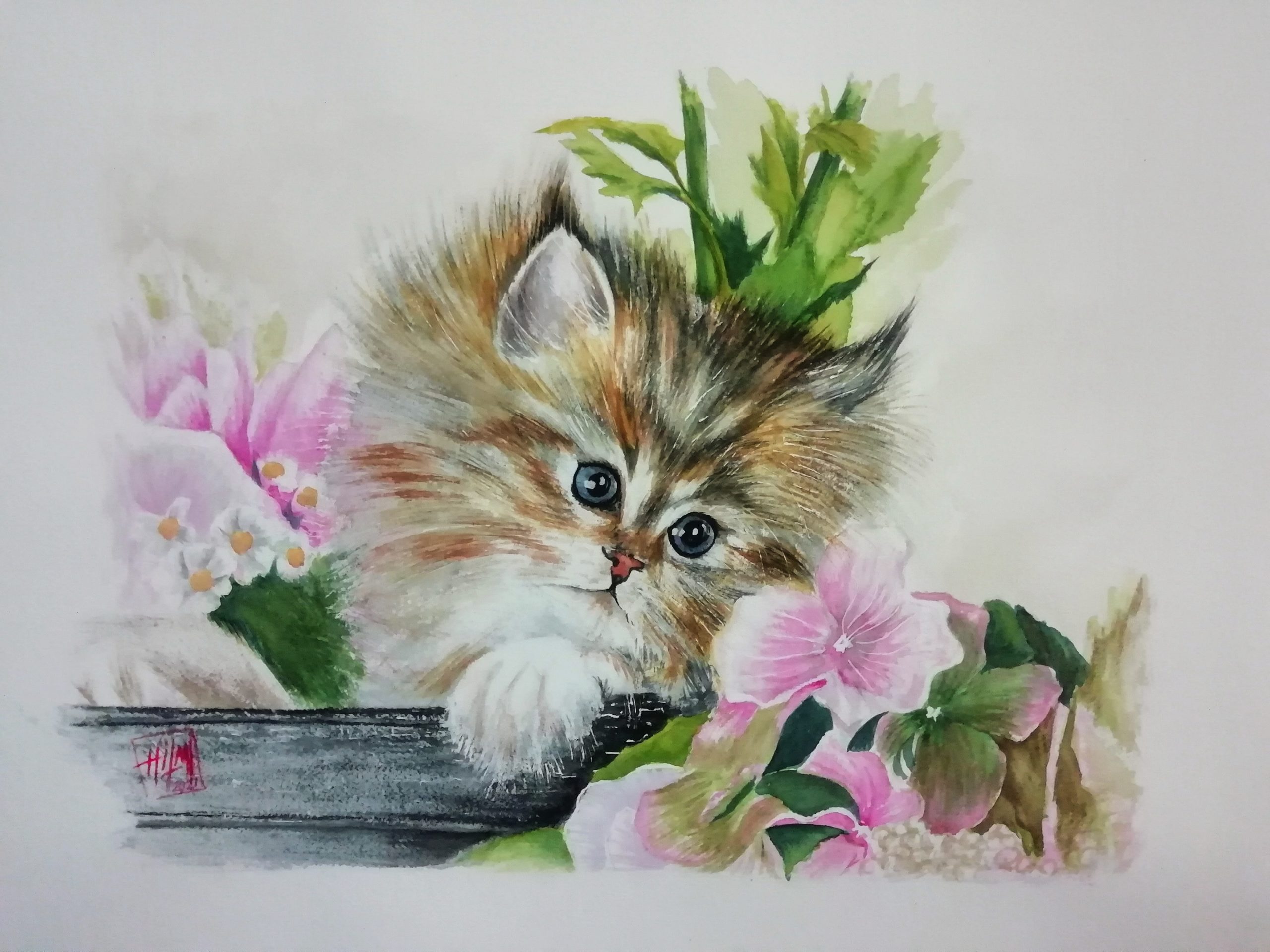 watercolor painting of cat