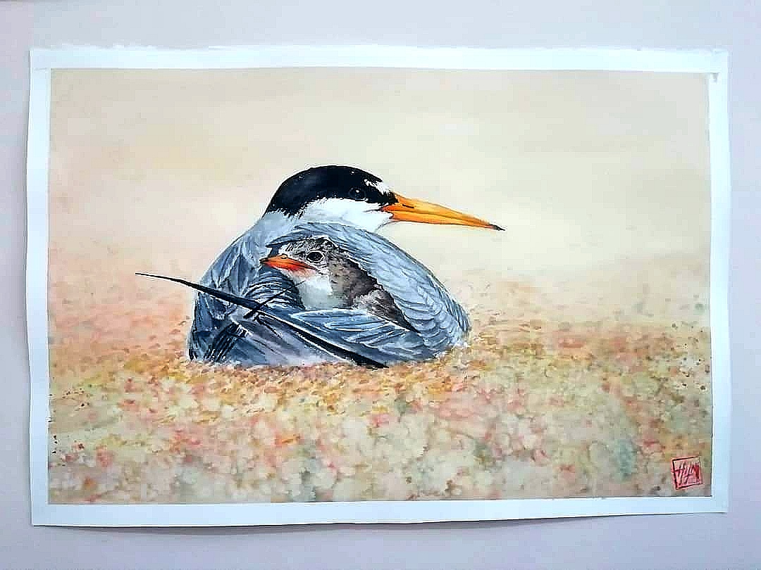 watercolor painting of birds