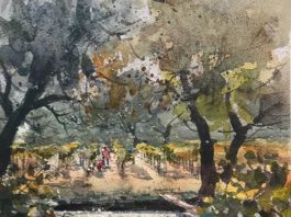 watercolor painting of vineyard
