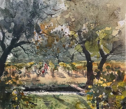 watercolor painting of vineyard