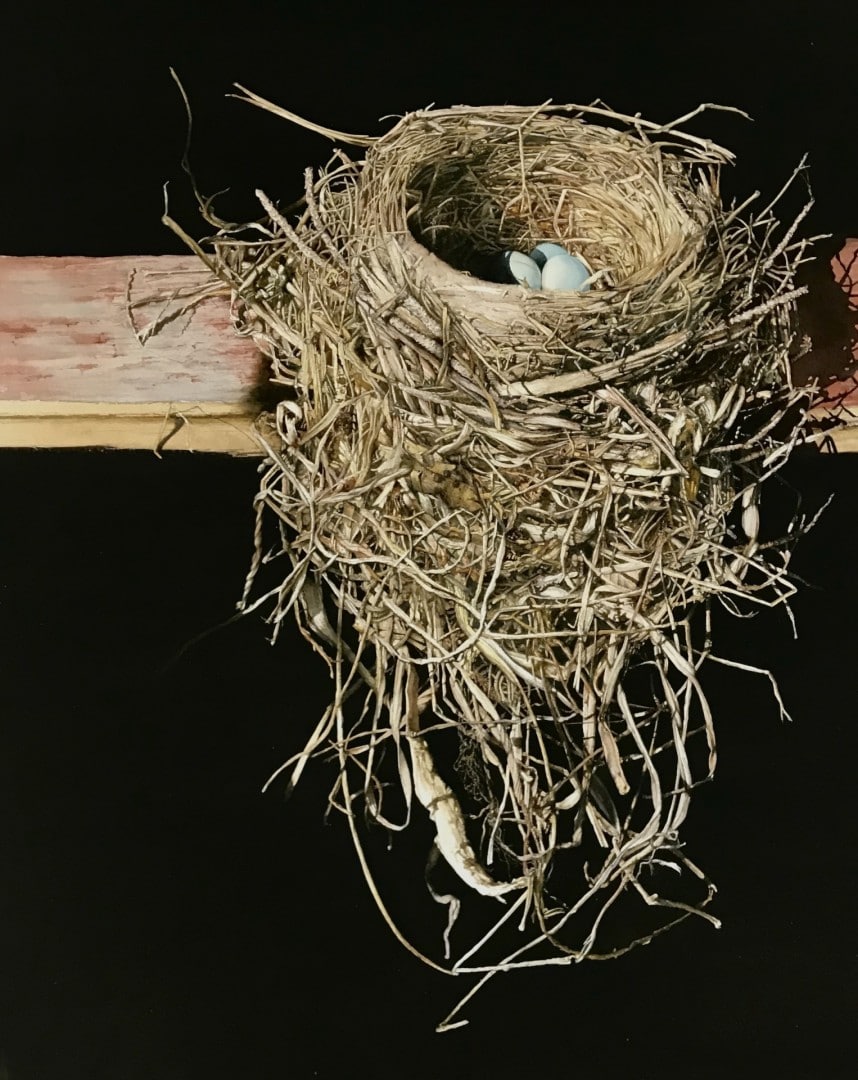 watercolor painting of nest