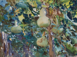 watercolor painting of gourds