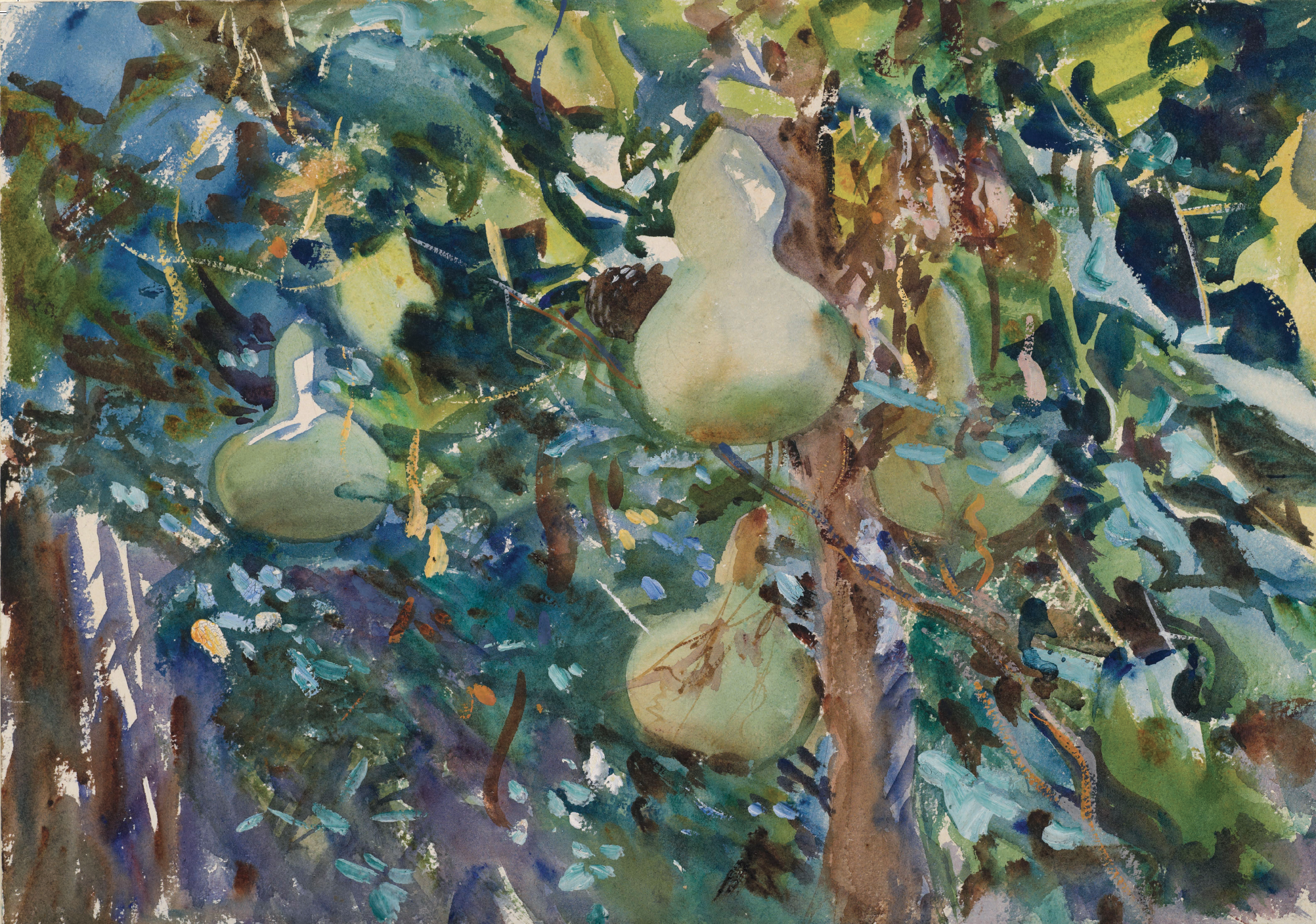 watercolor painting of gourds