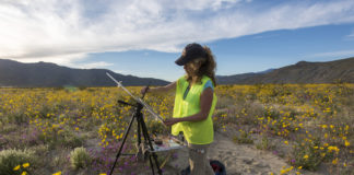 Woman painting in the desert surrounded by wildflowers