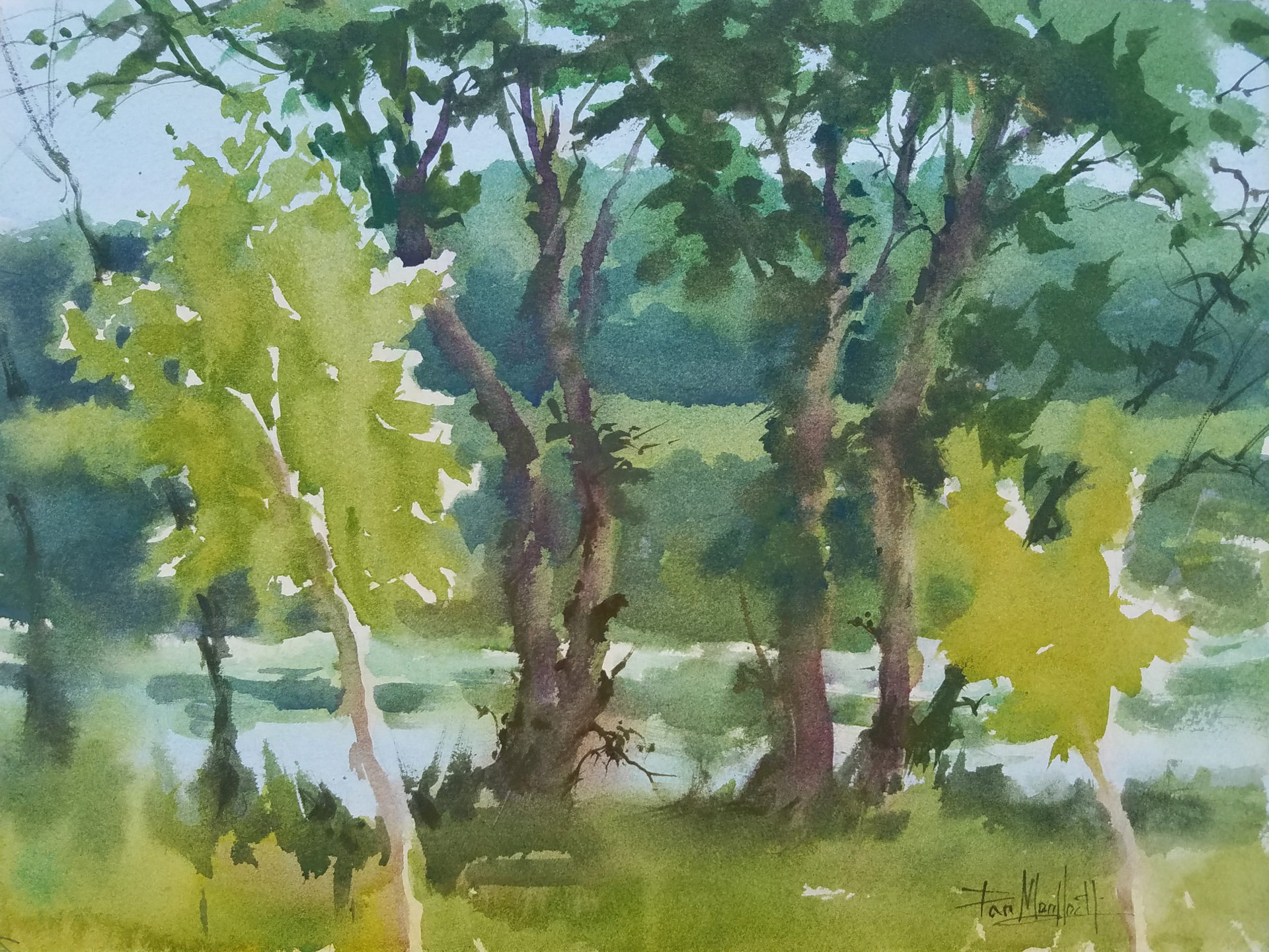 Don T Overwork Your Watercolors American Watercolor