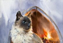 Why You Should Stop Copying Your Photo