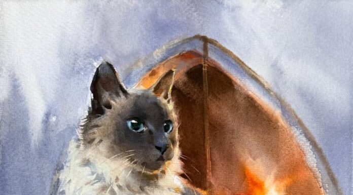 Why You Should Stop Copying Your Photo